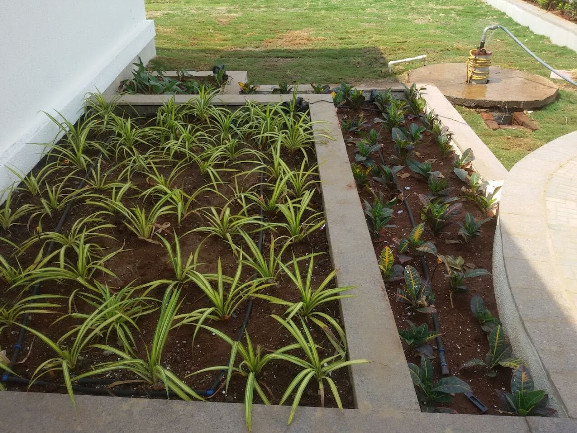 Commercial Project 11